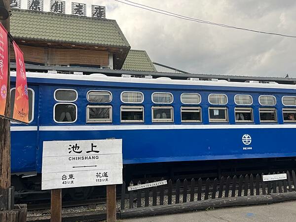 池上春季一日遊。伯朗大道一片片綠油油的稻田|台東嘉義宜蘭遊記