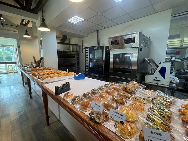 陽明山草山小鎮:大衛小小羊David & Alpaca,近距 陽明山草山小鎮:大衛小小羊David & Alpaca,近距