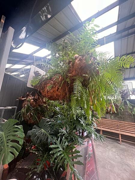 北海岸一日遊:跳石站、石門洞、午餐 Le Qua 公雞餐廳 北海岸一日遊:跳石站、石門洞、午餐 Le Qua 公雞餐廳