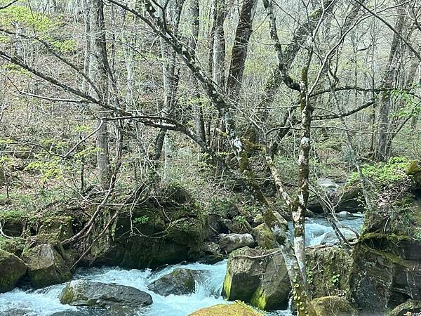 奧入瀨溪流一日慢走遊記:三亂の流れ、石戶休息站、阿修羅之流、 奧入瀨溪流一日慢走遊記:三亂の流れ、石戶休息站、阿修羅之流、