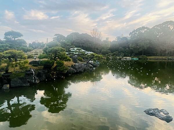 清澄白河半日遊:清澄庭園。日本第一間藍瓶咖啡