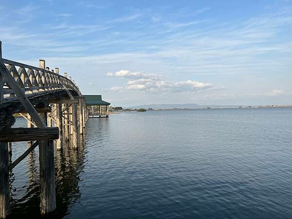 《2023年日本東北櫻花季》陸奧鶴田半日遊。津輕富士見湖。鶴 《2023年日本東北櫻花季》陸奧鶴田半日遊。津輕富士見湖。鶴