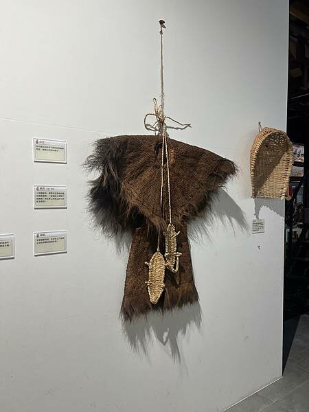 池上春季一日遊。伯朗大道一片片綠油油的稻田|台東嘉義宜蘭遊記