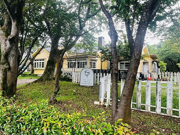 陽明山草山小鎮:大衛小小羊David & Alpaca,近距 陽明山草山小鎮:大衛小小羊David & Alpaca,近距