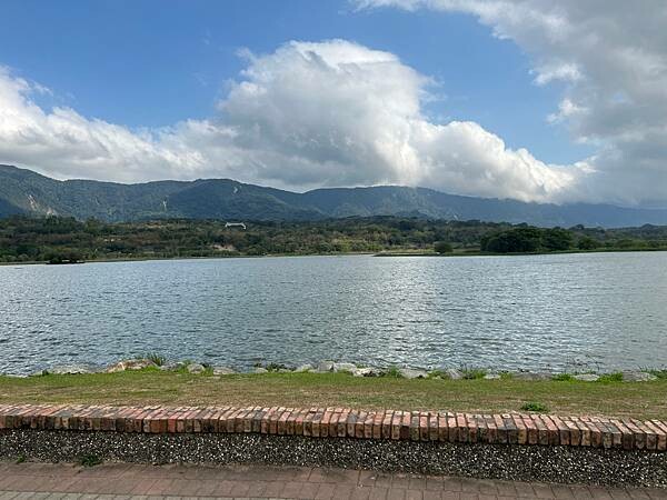 池上春季一日遊。伯朗大道一片片綠油油的稻田|台東嘉義宜蘭遊記