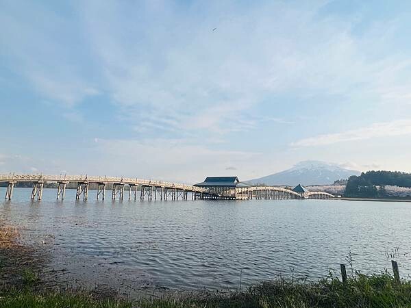 《2023年日本東北櫻花季》陸奧鶴田半日遊。津輕富士見湖。鶴 《2023年日本東北櫻花季》陸奧鶴田半日遊。津輕富士見湖。鶴