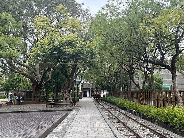 嘉義市步行路線：阿里山檜木的檜意森活村、藝術家王文志的森林之