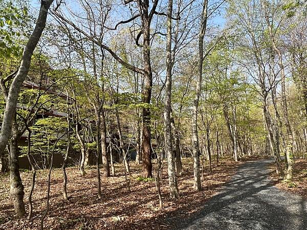 星野奧入瀨溫泉渡假飯店（附交通方式）。在自然生態的溪流邊渡過