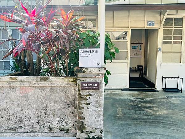 桃園大溪有趣的一日遊：大溪老街、大溪橋，大溪木藝生態博物館