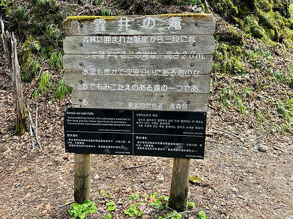 奧入瀨溪流一日慢走遊記:三亂の流れ、石戶休息站、阿修羅之流、 奧入瀨溪流一日慢走遊記:三亂の流れ、石戶休息站、阿修羅之流、