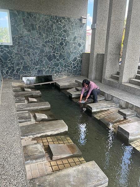 池上春季一日遊。伯朗大道一片片綠油油的稻田|台東嘉義宜蘭遊記