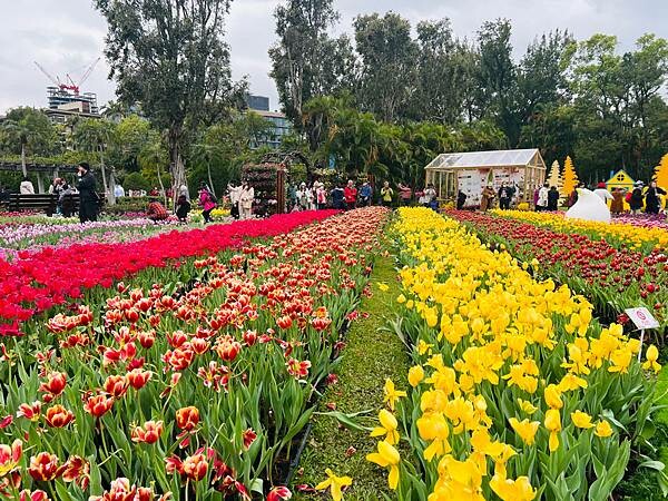 2024年士林官邸公園鬱金香花季:相鬱祈福。鬱金香齊放