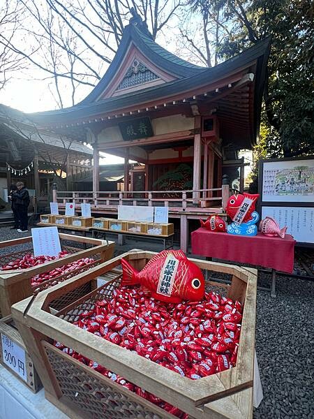 東京近郊小江戶川越一日遊:歷史老式建築物的川越藏造老街。老街