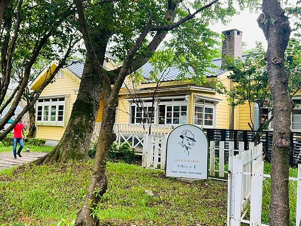 陽明山草山小鎮:大衛小小羊David & Alpaca,近距 陽明山草山小鎮:大衛小小羊David & Alpaca,近距