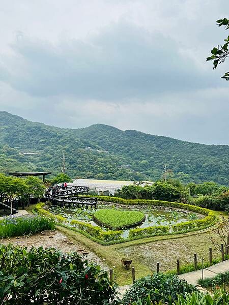 台北市內湖捷運站碧山巖。輕鬆漫慢遊。輕旅行:白石湖吊橋、午餐