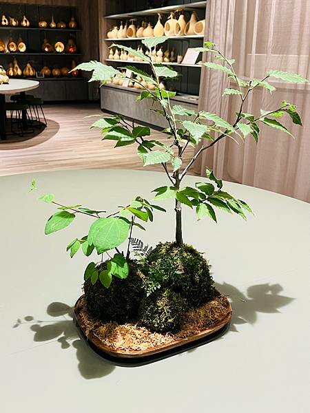 星野奧入瀨溫泉渡假飯店（附交通方式）。在自然生態的溪流邊渡過