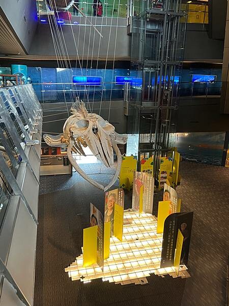 宜蘭頭城景點:建築美感十足的蘭陽博物館、漫步頭城老街的文藝氣