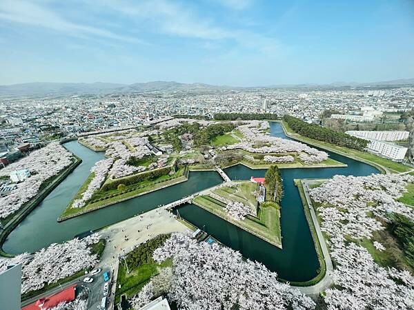 2023年北海道函館五稜郭櫻花季:熱情的盛開。推薦日本好吃的