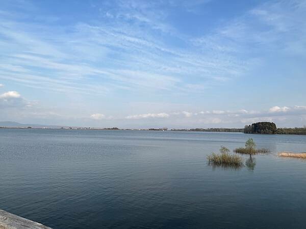 《2023年日本東北櫻花季》陸奧鶴田半日遊。津輕富士見湖。鶴 《2023年日本東北櫻花季》陸奧鶴田半日遊。津輕富士見湖。鶴