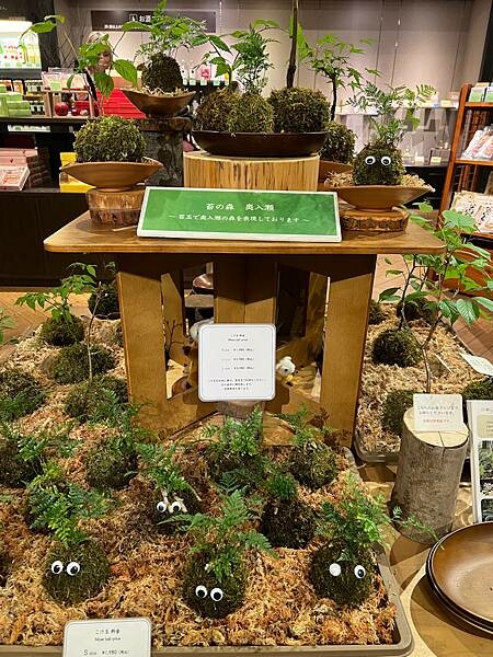 星野奧入瀨溫泉渡假飯店（附交通方式）。在自然生態的溪流邊渡過