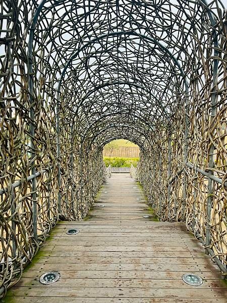 嘉義市步行路線：阿里山檜木的檜意森活村、藝術家王文志的森林之