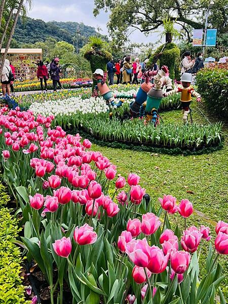 2024年士林官邸公園鬱金香花季:相鬱祈福。鬱金香齊放