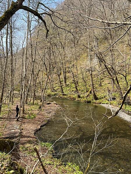 奧入瀨溪流一日慢走遊記:三亂の流れ、石戶休息站、阿修羅之流、 奧入瀨溪流一日慢走遊記:三亂の流れ、石戶休息站、阿修羅之流、