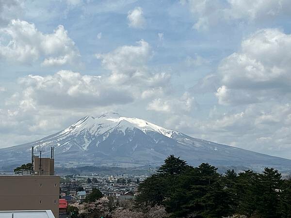 《2023年日本東北櫻花季》青森弘前公園櫻花盛開。附青森弘前交通方式（日本東北函館白老自由行ep03）