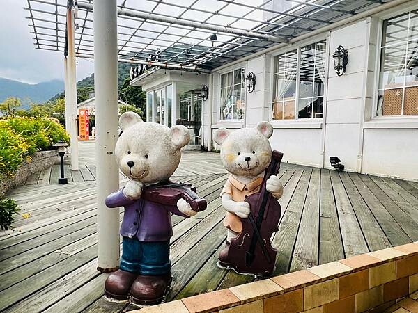 陽明山草山小鎮:大衛小小羊David & Alpaca,近距 陽明山草山小鎮:大衛小小羊David & Alpaca,近距