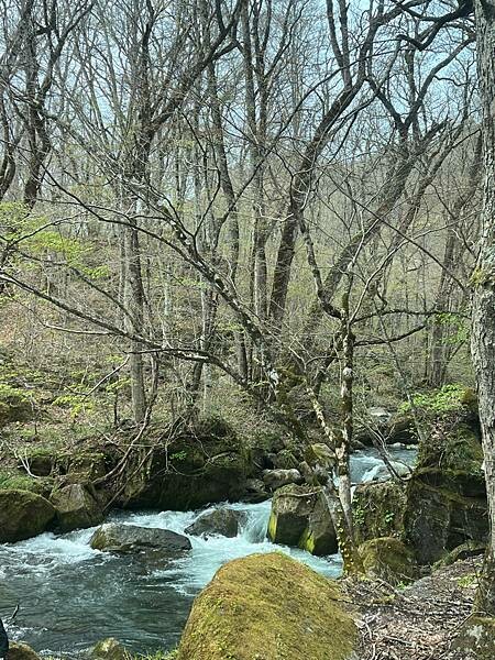奧入瀨溪流一日慢走遊記:三亂の流れ、石戶休息站、阿修羅之流、 奧入瀨溪流一日慢走遊記:三亂の流れ、石戶休息站、阿修羅之流、