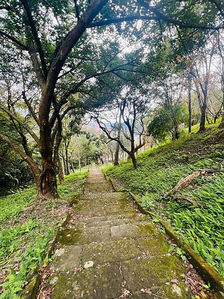新北市汐止拱北殿：賞楓步道。慢步雙拱橋熱門打卡景點