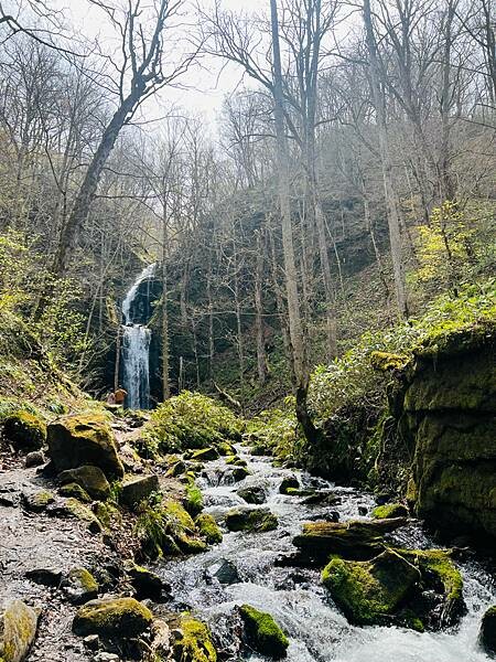 奧入瀨溪流一日慢走遊記:三亂の流れ、石戶休息站、阿修羅之流、 奧入瀨溪流一日慢走遊記:三亂の流れ、石戶休息站、阿修羅之流、