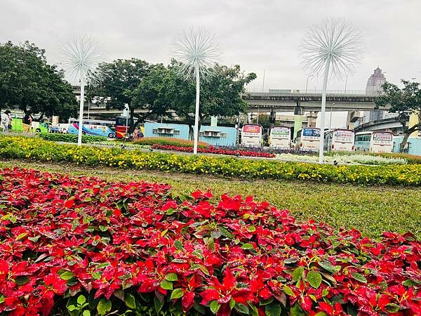 台北市捷運北門站:12月的延平河濱公園花海