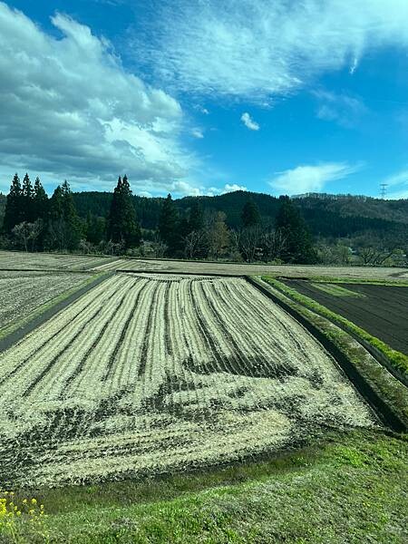 星野奧入瀨溫泉渡假飯店（附交通方式）。在自然生態的溪流邊渡過