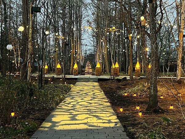 2023年日本長野縣輕井澤星野渡假飯店浪漫聖誕活動:杉樹廣場