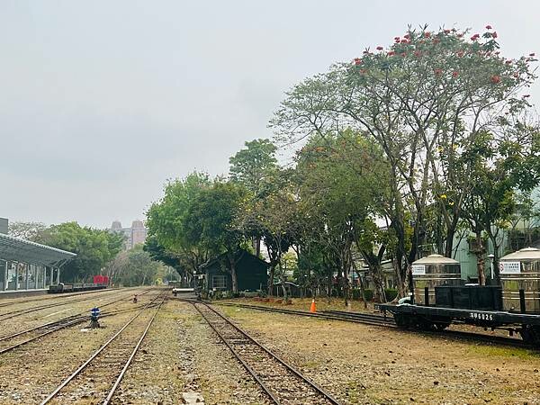 嘉義市步行路線：阿里山檜木的檜意森活村、藝術家王文志的森林之