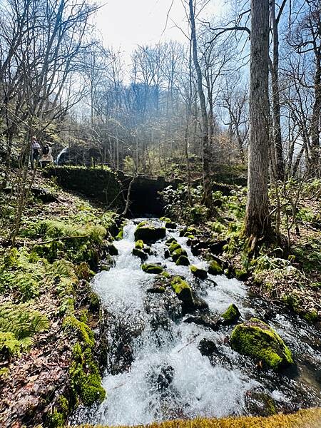 奧入瀨溪流一日慢走遊記:三亂の流れ、石戶休息站、阿修羅之流、 奧入瀨溪流一日慢走遊記:三亂の流れ、石戶休息站、阿修羅之流、