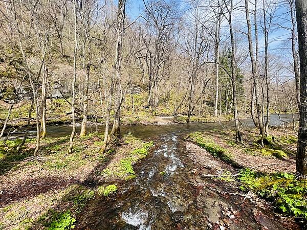 奧入瀨溪流一日慢走遊記:三亂の流れ、石戶休息站、阿修羅之流、 奧入瀨溪流一日慢走遊記:三亂の流れ、石戶休息站、阿修羅之流、