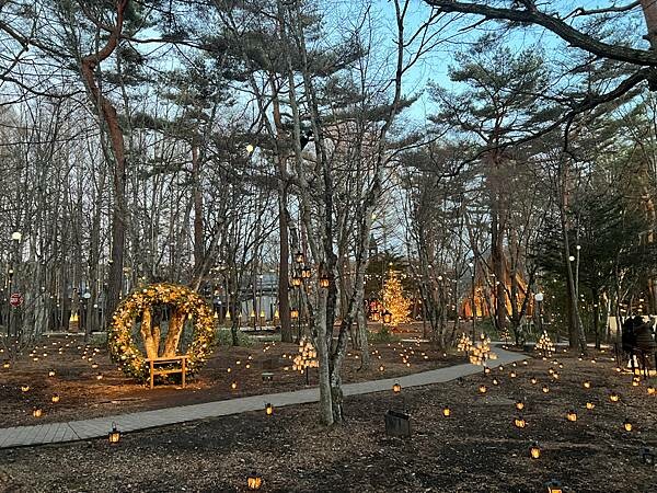 2023年日本長野縣輕井澤星野渡假飯店浪漫聖誕活動:杉樹廣場