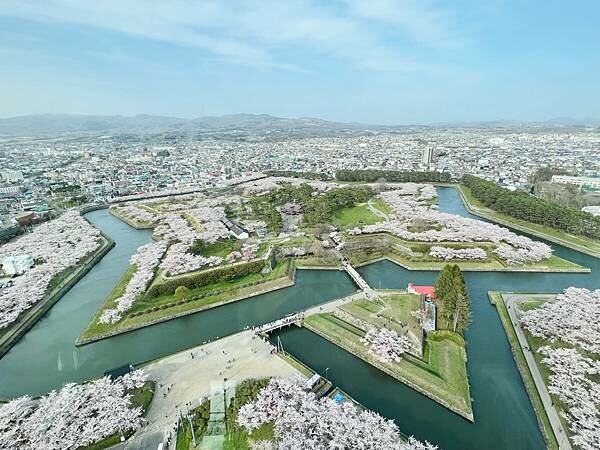 2023年北海道函館五稜郭櫻花季:熱情的盛開。推薦日本好吃的