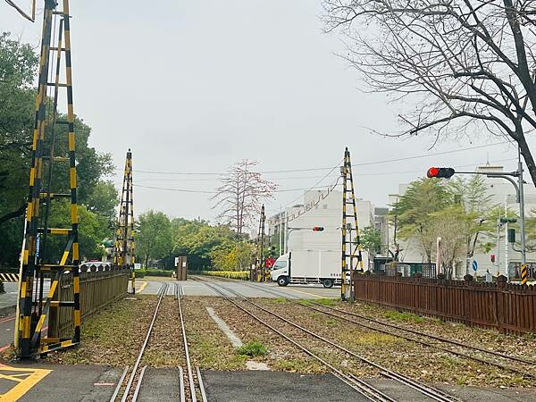 嘉義市步行路線：阿里山檜木的檜意森活村、藝術家王文志的森林之