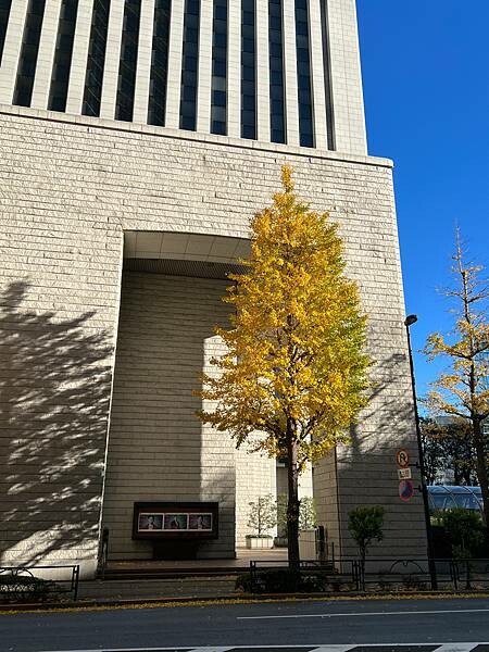 東京京橋評價住宿：東京京橋雷姆飯店Remm Tokyo Ky