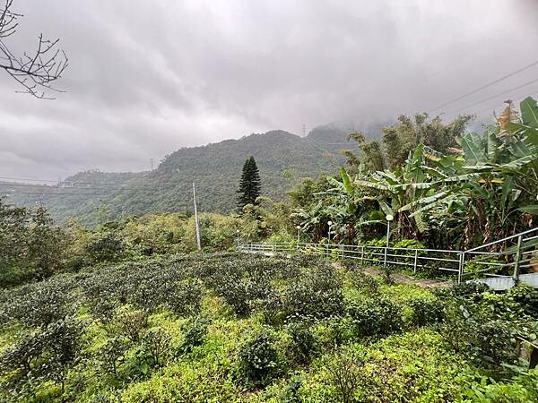 台北貓空景觀咖啡廳：生活在他方夜貓店。深山裡營業至凌晨2點的