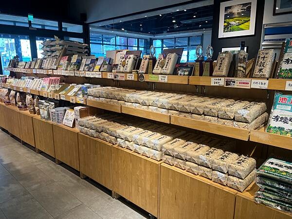 池上春季一日遊。伯朗大道一片片綠油油的稻田|台東嘉義宜蘭遊記