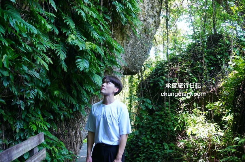 屏東x小琉球兩天一夜！入住緩慢大鵬灣民宿、山川琉璃吊橋、東港王船文化、美人洞、山豬溝、烏鬼洞｜雄獅國內旅遊行程 - 承錠旅行日記