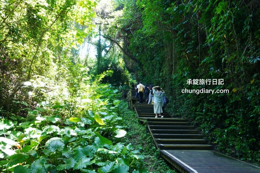 屏東x小琉球兩天一夜！入住緩慢大鵬灣民宿、山川琉璃吊橋、東港王船文化、美人洞、山豬溝、烏鬼洞｜雄獅國內旅遊行程 - 承錠旅行日記