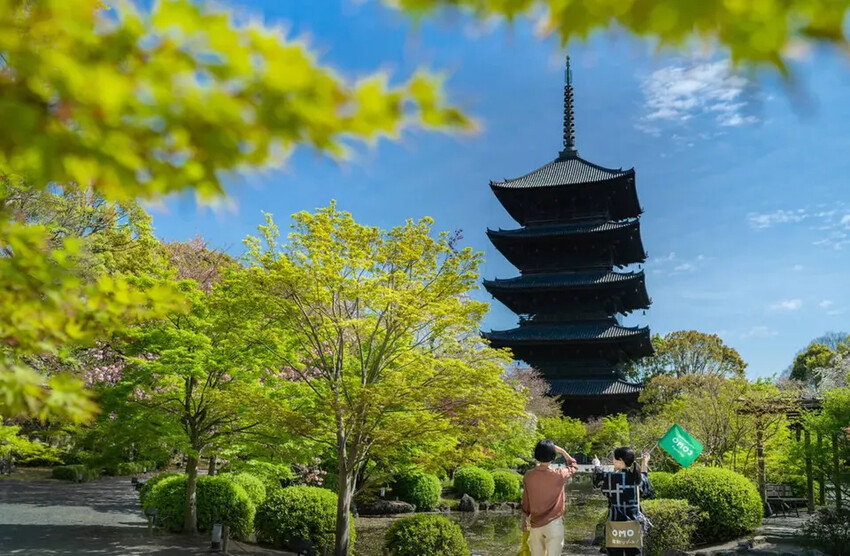 【星野集團】OMO3 京都東寺|東寺站徒歩2分/京都站徒歩13分-17 【星野集團】OMO3 京都東寺|東寺站徒歩2分/京都站徒歩13分-17