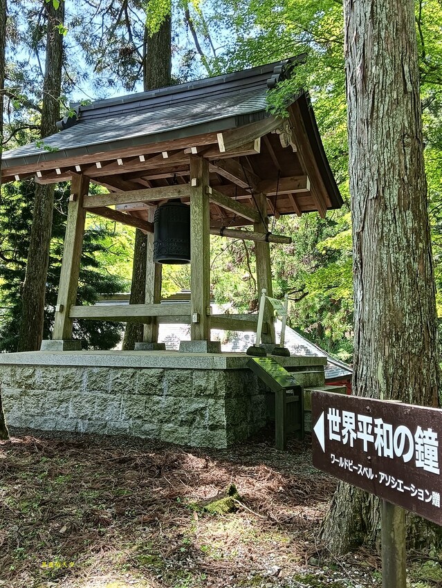 2024 0511日本京都自由行第二天比叡山一日遊016