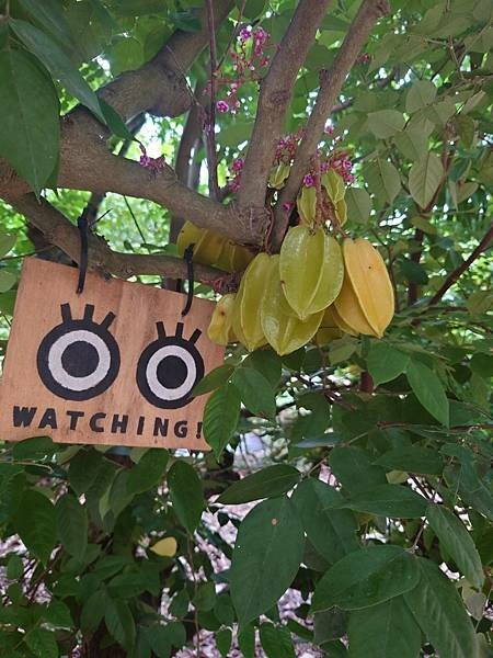 【旅遊】2024/09/02 我們在沖繩的日子 D3