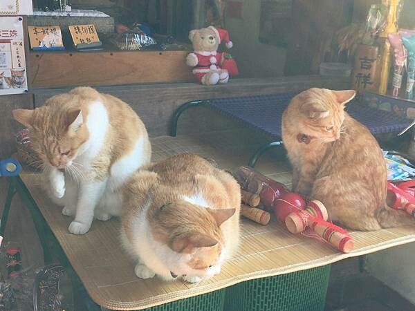 LINE_ALBUM_20211212彰化鹿港一日遊_211226_88